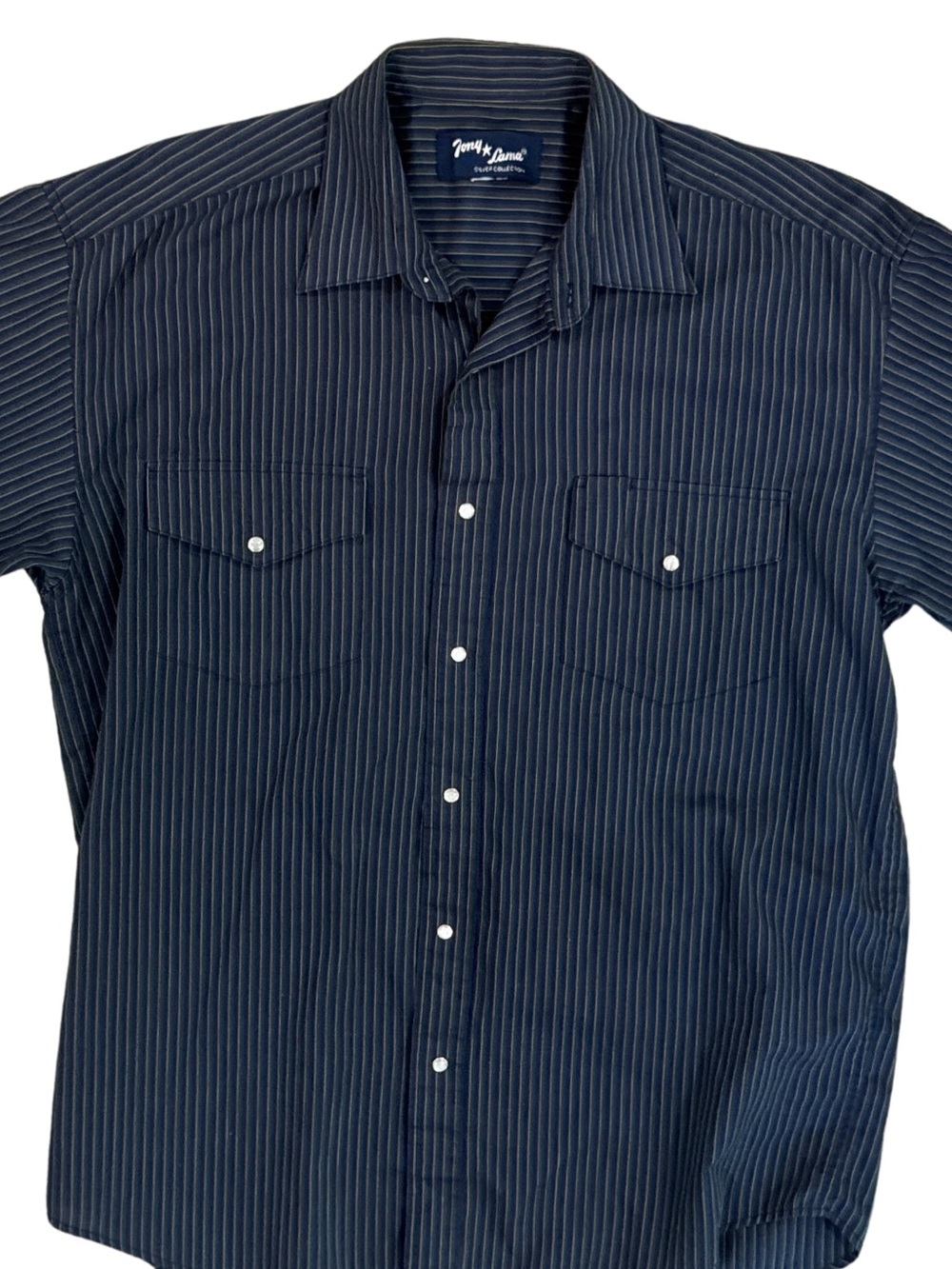 Tony Lama Navy Blue Pinstripe Button-Down Shirt